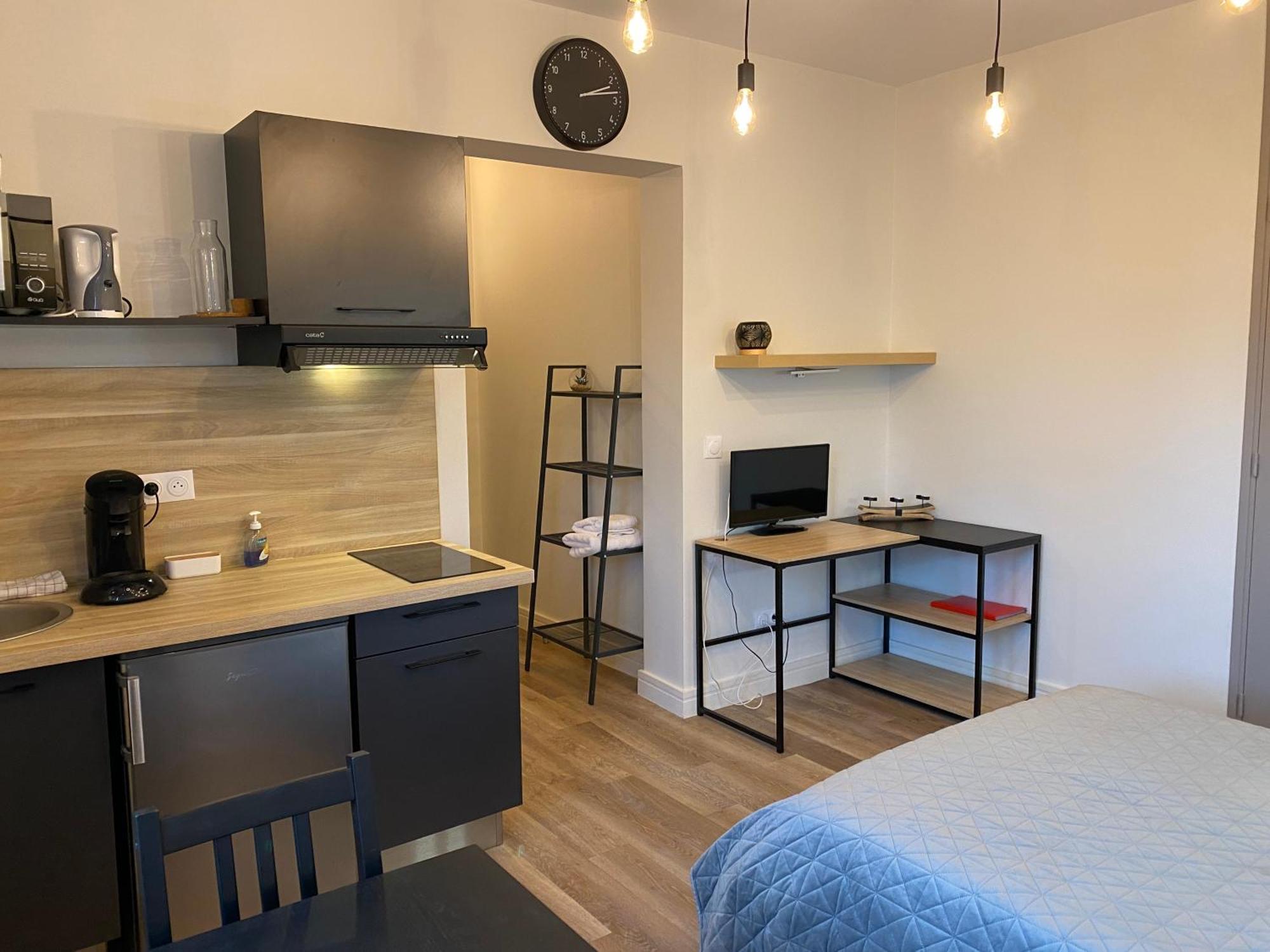 Au 3 Rue Manhes Appartement Albi Buitenkant foto