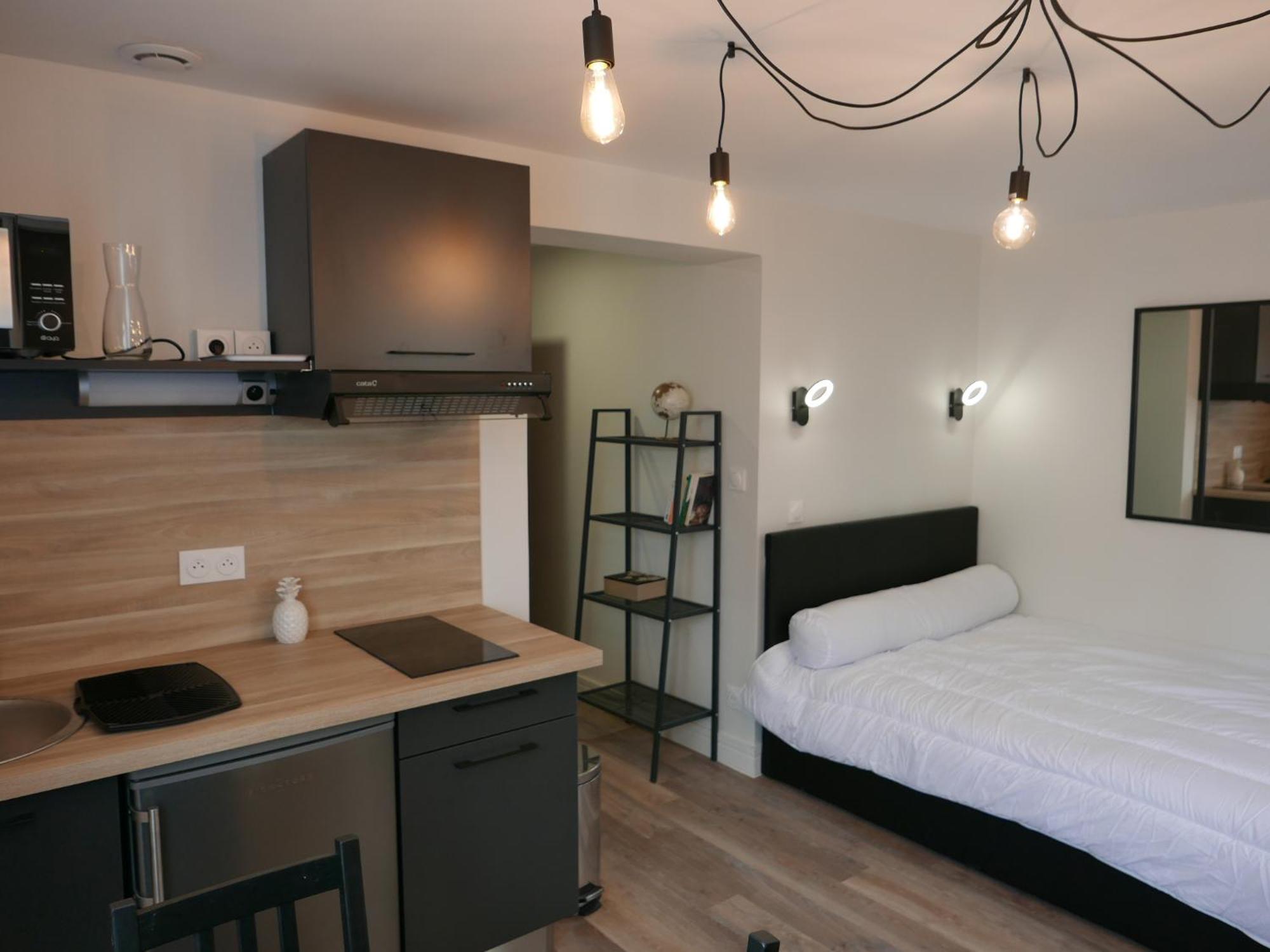 Au 3 Rue Manhes Appartement Albi Buitenkant foto